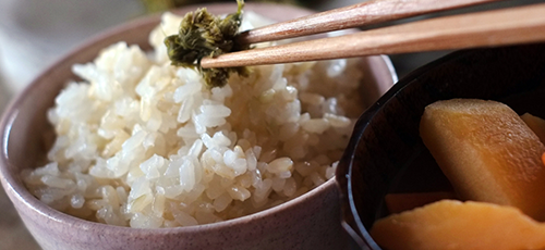 胚芽米炊きあがりイメージ写真お茶碗