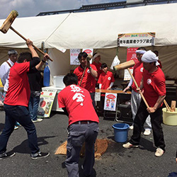 青年農業者クラブ泉会の活動でもちつきをしている様子