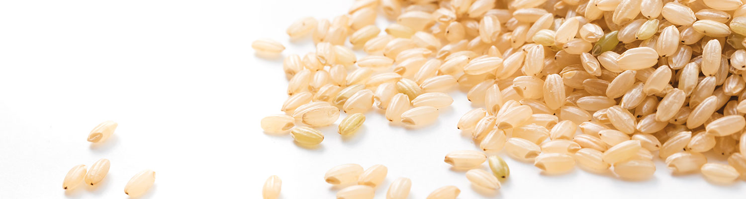 白い背景に玄米の米粒の山